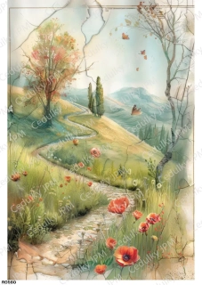 Rýžový a Soft  papír  A4 pro decoupage- R0860