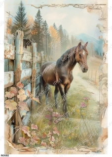 Rýžový a Soft  papír  A4 pro decoupage- R0862