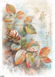 Rýžový a Soft  papír  A4 pro decoupage- R0868
