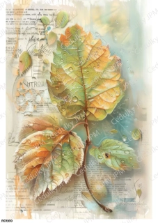 Rýžový a Soft  papír  A4 pro decoupage- R0869