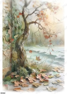 Rýžový a Soft  papír  A4 pro decoupage- R0882