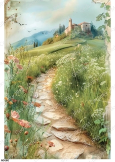 Rýžový a Soft  papír  A4 pro decoupage- R0885