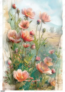 Rýžový a Soft  papír  A4 pro decoupage- R0887