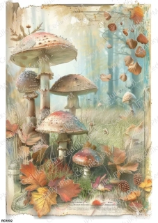 Rýžový a Soft  papír  A4 pro decoupage- R0892
