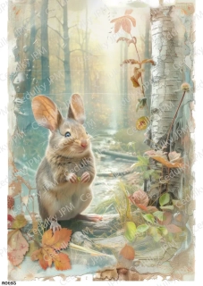 Rýžový a Soft  papír  A4 pro decoupage- R0893