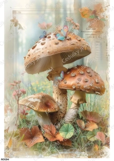 Rýžový a Soft  papír  A4 pro decoupage- R0894