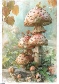 Rýžový a Soft  papír  A4 pro decoupage- R0895