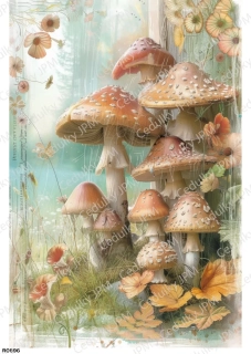 Rýžový a Soft  papír  A4 pro decoupage- R0896