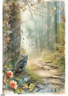 Rýžový a Soft  papír  A4 pro decoupage- R0897