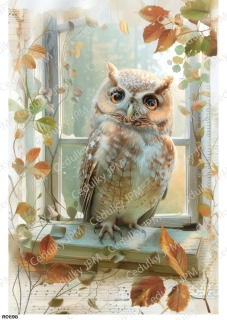 Rýžový a Soft  papír  A4 pro decoupage- R0898