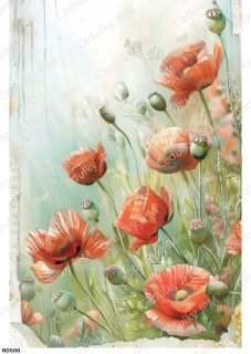 Rýžový a Soft  papír  A4 pro decoupage- R0909