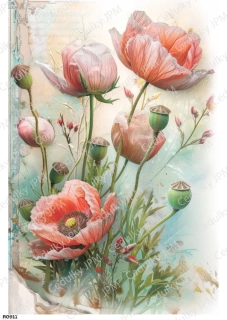 Rýžový a Soft  papír  A4 pro decoupage- R0911