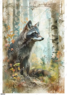 Rýžový a Soft  papír  A4 pro decoupage- R0912