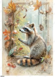 Rýžový a Soft  papír  A4 pro decoupage- R0913