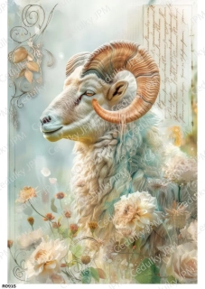 Rýžový a Soft  papír  A4 pro decoupage- R0915