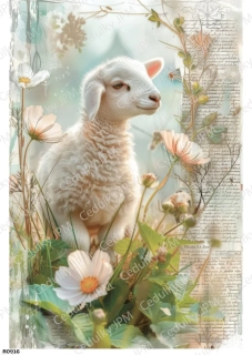 Rýžový a Soft  papír  A4 pro decoupage- R0916