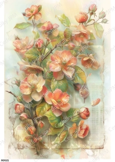 Rýžový a Soft  papír  A4 pro decoupage- R0921