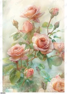 Rýžový a Soft  papír  A4 pro decoupage- R0923