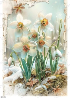 Rýžový a Soft  papír  A4 pro decoupage- R0934