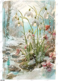 Rýžový a Soft  papír  A4 pro decoupage- R0936