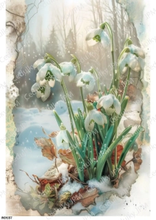 Rýžový a Soft  papír  A4 pro decoupage- R0937