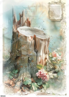 Rýžový a Soft  papír  A4 pro decoupage- R0943