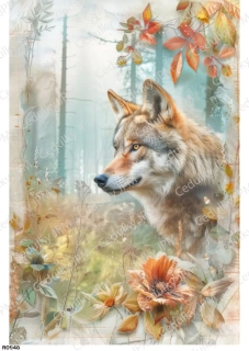 Rýžový a Soft  papír  A4 pro decoupage- R0948