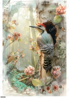 Rýžový a Soft  papír  A4 pro decoupage- R0949