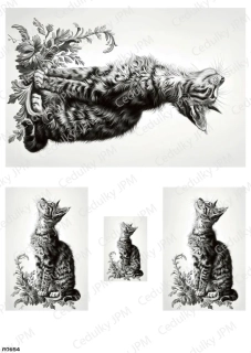Rýžový a Soft  papír  A4 pro decoupage- R0954