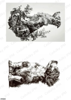 Rýžový a Soft  papír  A4 pro decoupage- R0963