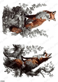 Rýžový a Soft  papír  A4 pro decoupage- R0969