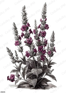 Rýžový a Soft  papír  A4 pro decoupage- R0975