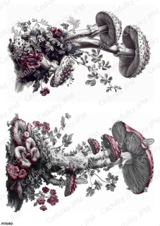Rýžový a Soft  papír  A4 pro decoupage- R0980