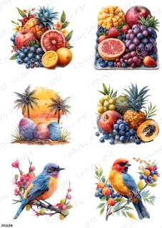 Rýžový a Soft  papír  A4 pro decoupage- R01029