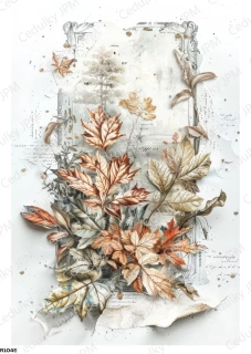 Rýžový a Soft  papír  A4 pro decoupage- R01045