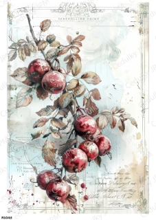 Rýžový a Soft  papír  A4 pro decoupage- R01048