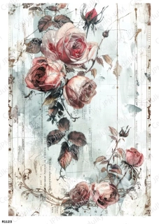 Rýžový a Soft  papír  A4 pro decoupage- R01123