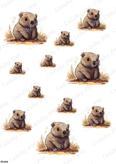 Rýžový a Soft  papír  A4 pro decoupage- R01144