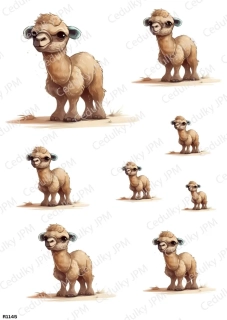 Rýžový a Soft  papír  A4 pro decoupage- R01145
