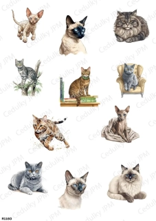 Rýžový a Soft  papír  A4 pro decoupage- R01160
