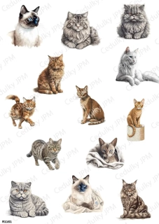 Rýžový a Soft  papír  A4 pro decoupage- R01161