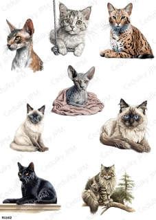 Rýžový a Soft  papír  A4 pro decoupage- R01162