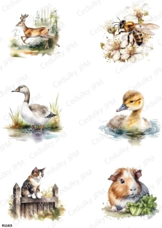 Rýžový a Soft  papír  A4 pro decoupage- R01163