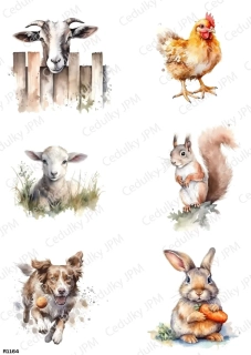 Rýžový a Soft  papír  A4 pro decoupage- R01164
