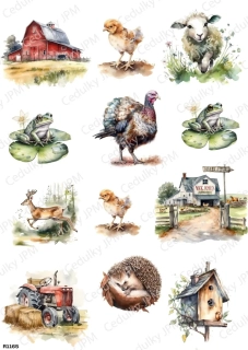Rýžový a Soft  papír  A4 pro decoupage- R01165