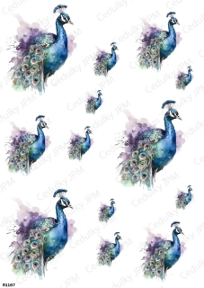 Rýžový a Soft  papír  A4 pro decoupage- R01167