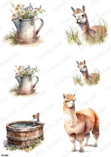 Rýžový a Soft  papír  A4 pro decoupage- R01168