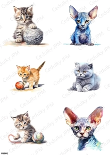 Rýžový a Soft  papír  A4 pro decoupage- R01185