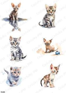 Rýžový a Soft  papír  A4 pro decoupage- R01186
