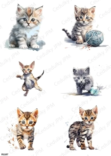 Rýžový a Soft  papír  A4 pro decoupage- R01187